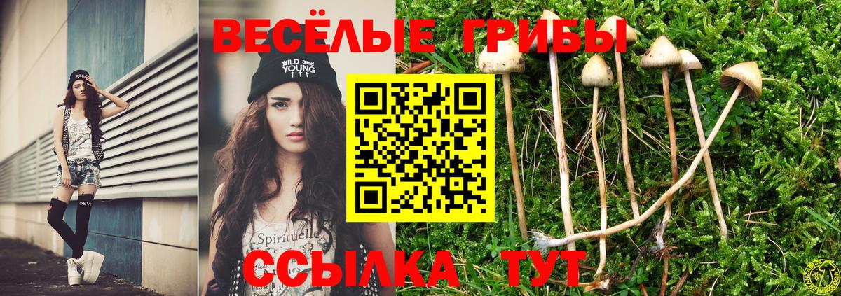 Галлюциногенные грибы ЛСД Карасук